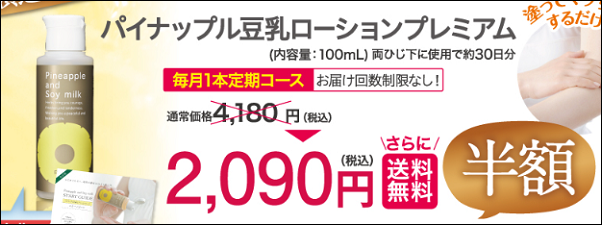 �p�C�i�b�v���������[�V���� �c���n